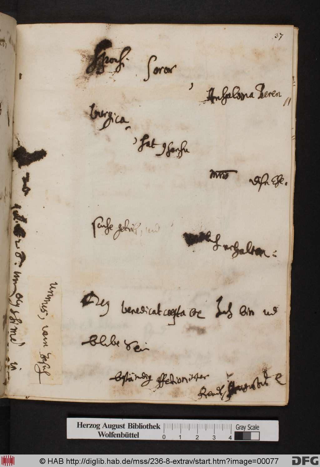 http://diglib.hab.de/mss/236-8-extrav/00077.jpg