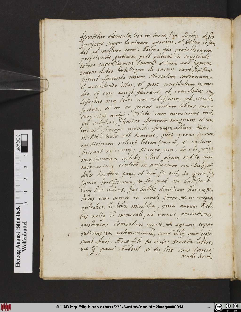 http://diglib.hab.de/mss/238-3-extrav/00014.jpg