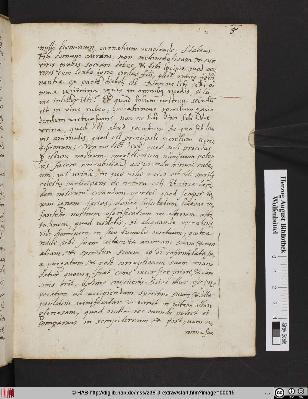http://diglib.hab.de/mss/238-3-extrav/00015.jpg
