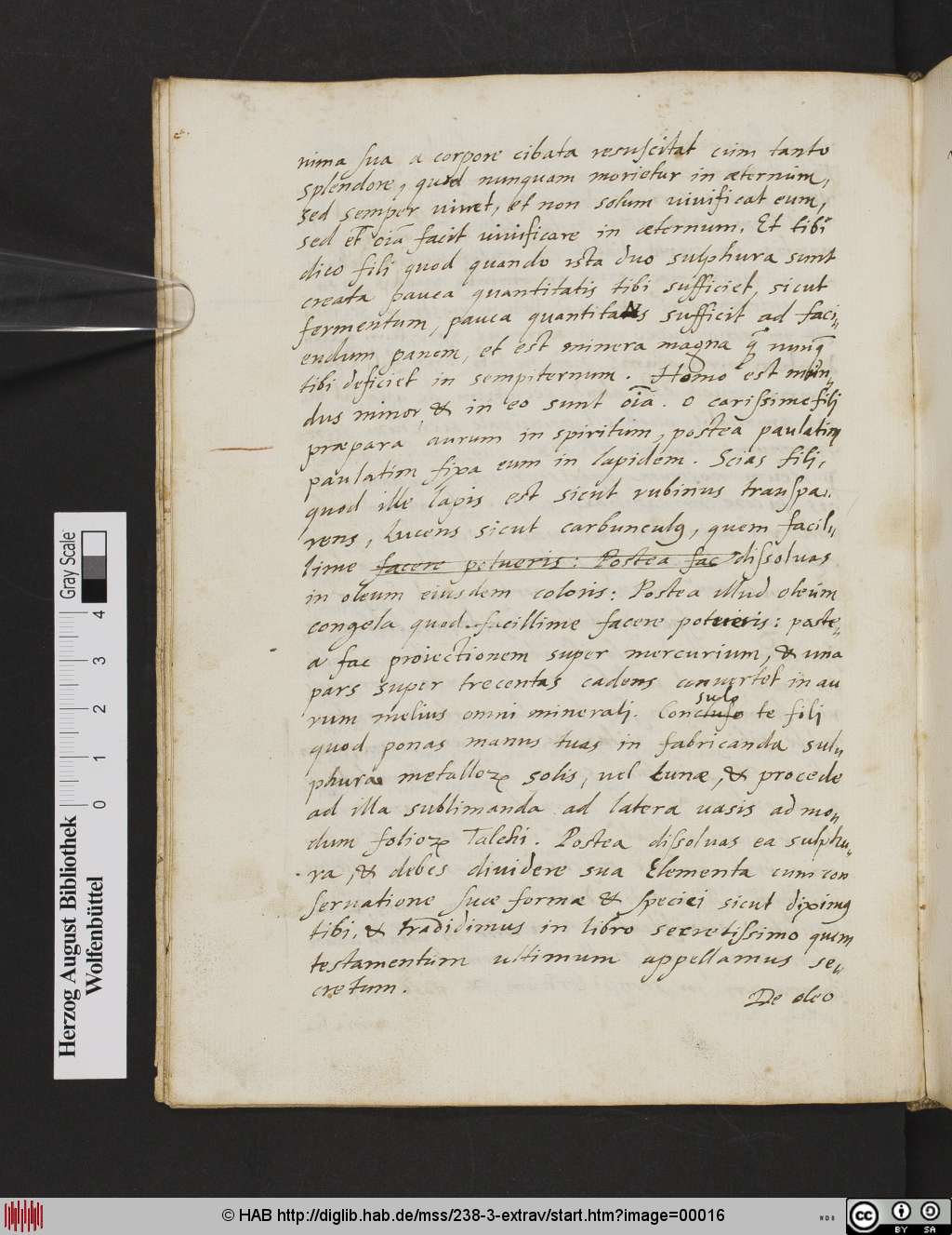 http://diglib.hab.de/mss/238-3-extrav/00016.jpg