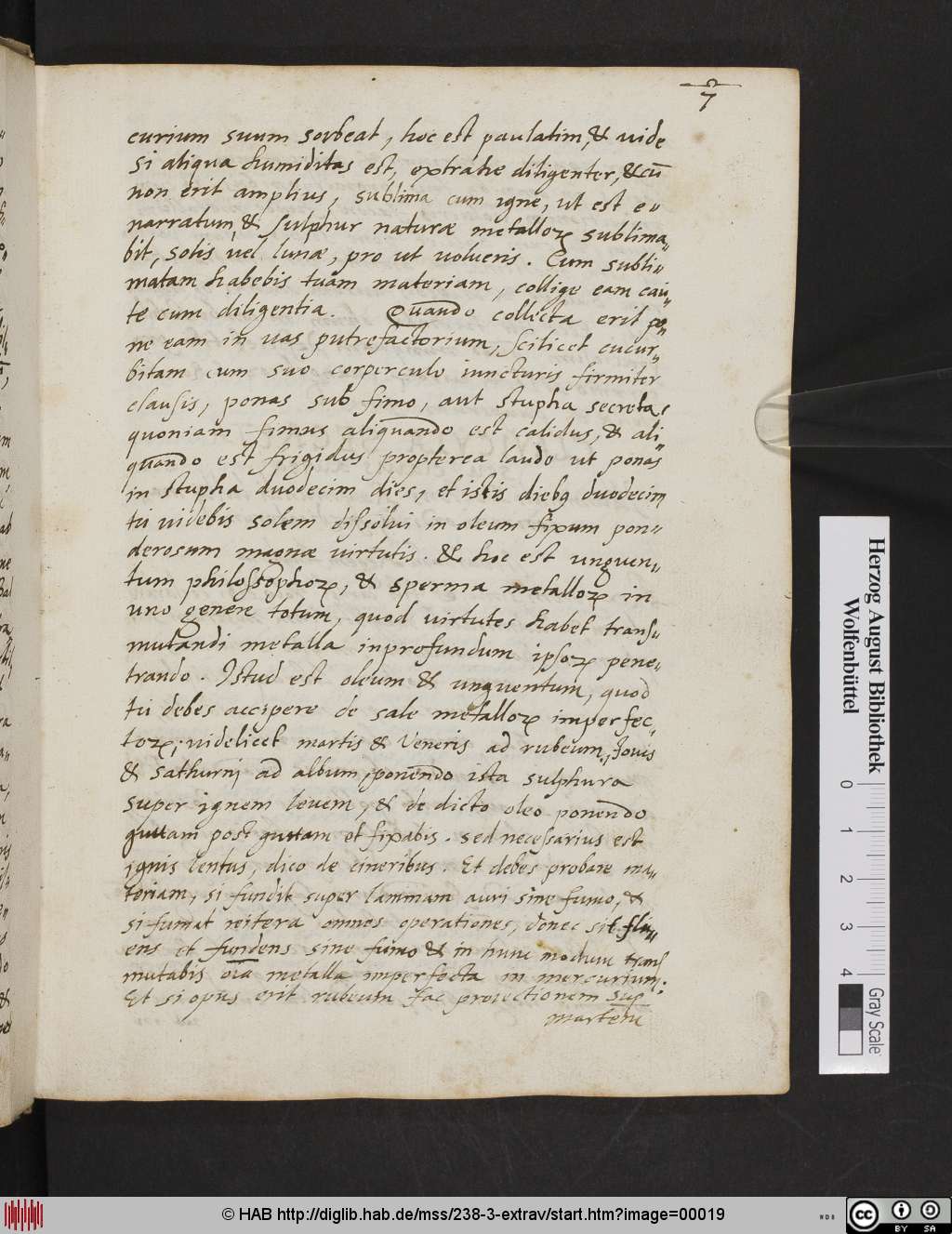 http://diglib.hab.de/mss/238-3-extrav/00019.jpg