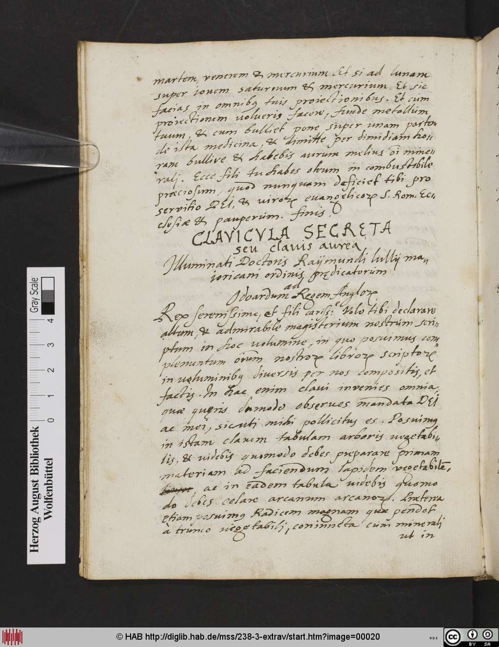 http://diglib.hab.de/mss/238-3-extrav/00020.jpg