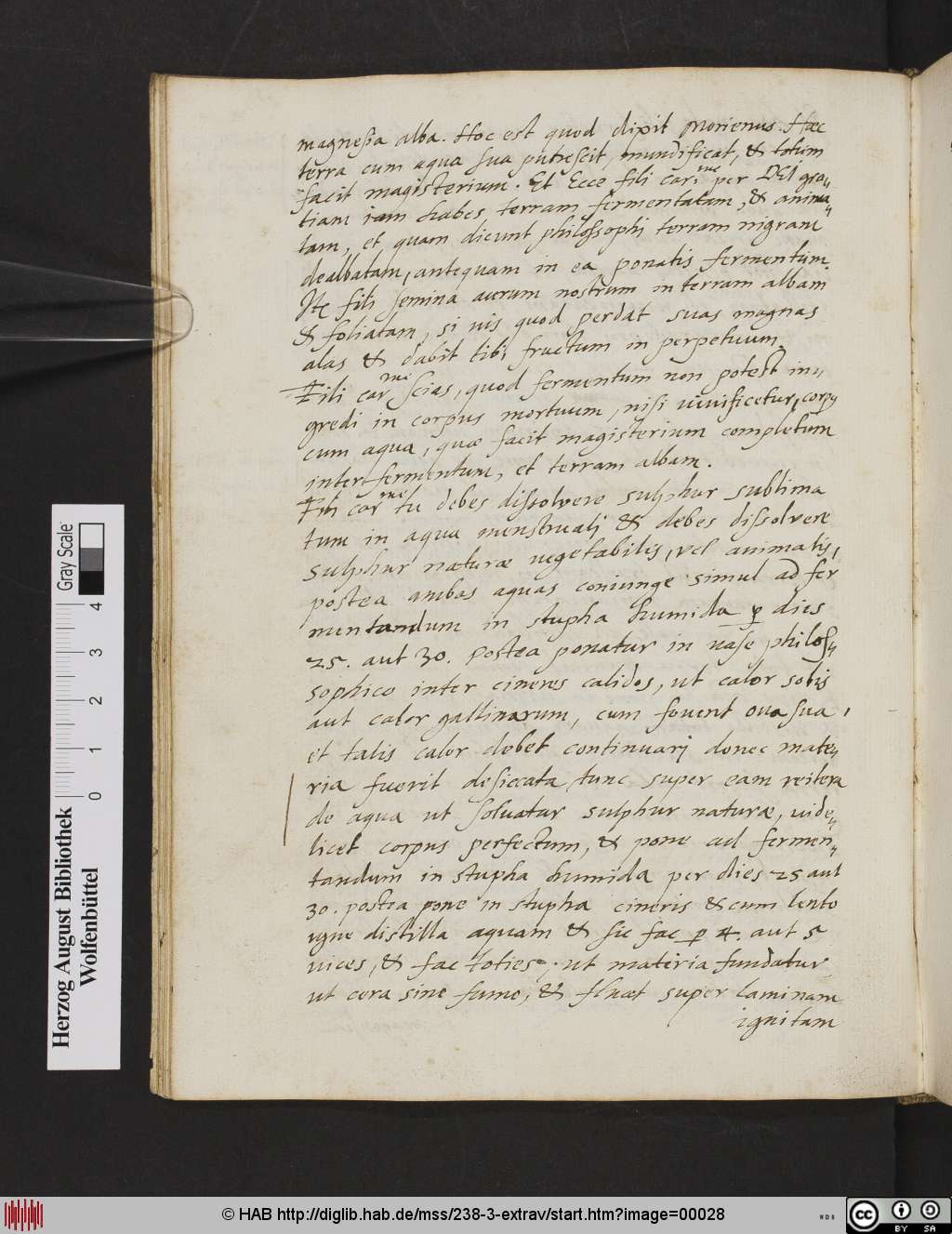 http://diglib.hab.de/mss/238-3-extrav/00028.jpg