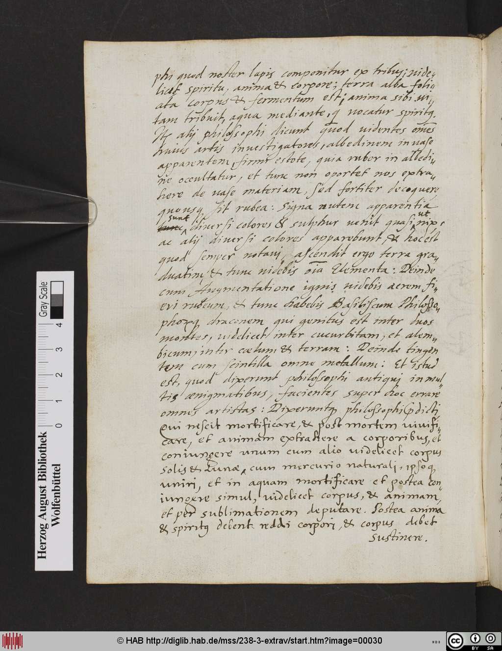 http://diglib.hab.de/mss/238-3-extrav/00030.jpg