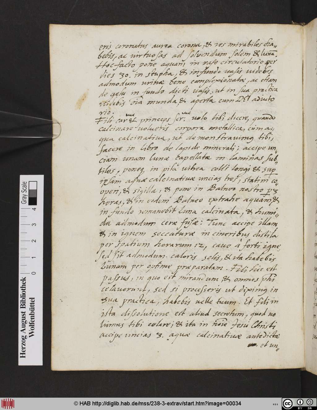 http://diglib.hab.de/mss/238-3-extrav/00034.jpg