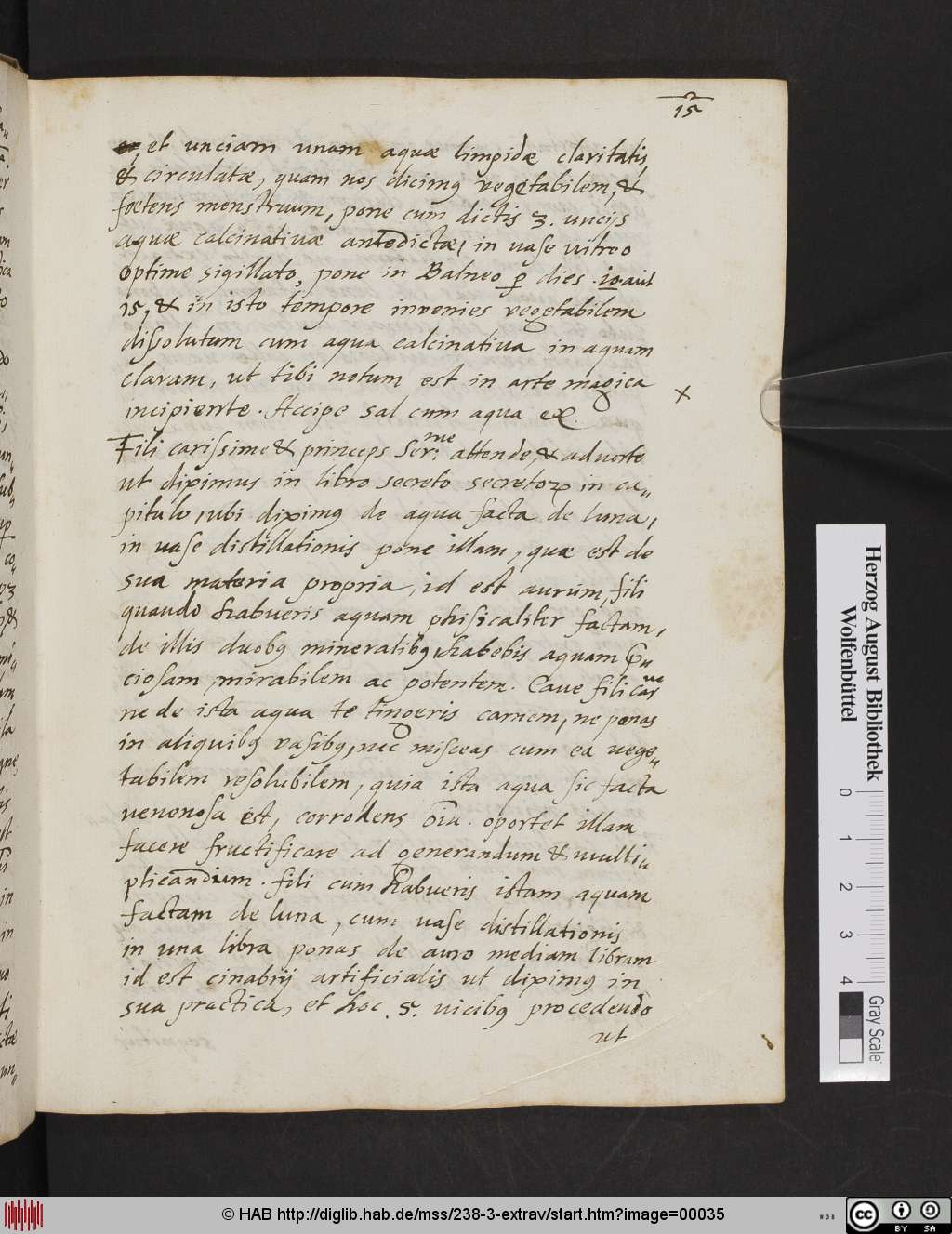 http://diglib.hab.de/mss/238-3-extrav/00035.jpg