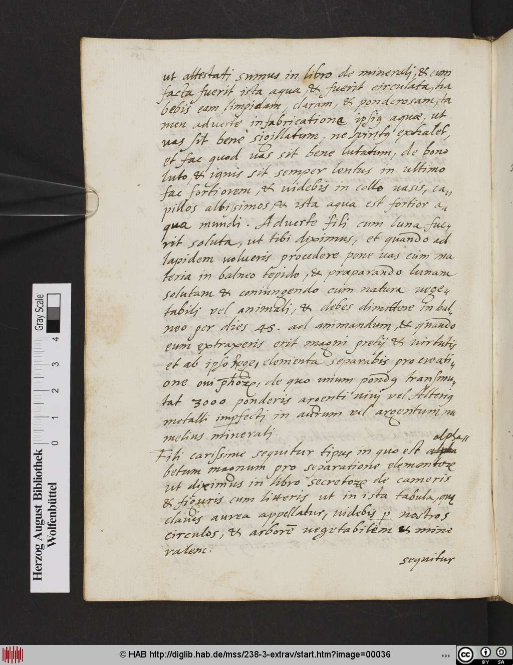 http://diglib.hab.de/mss/238-3-extrav/00036.jpg