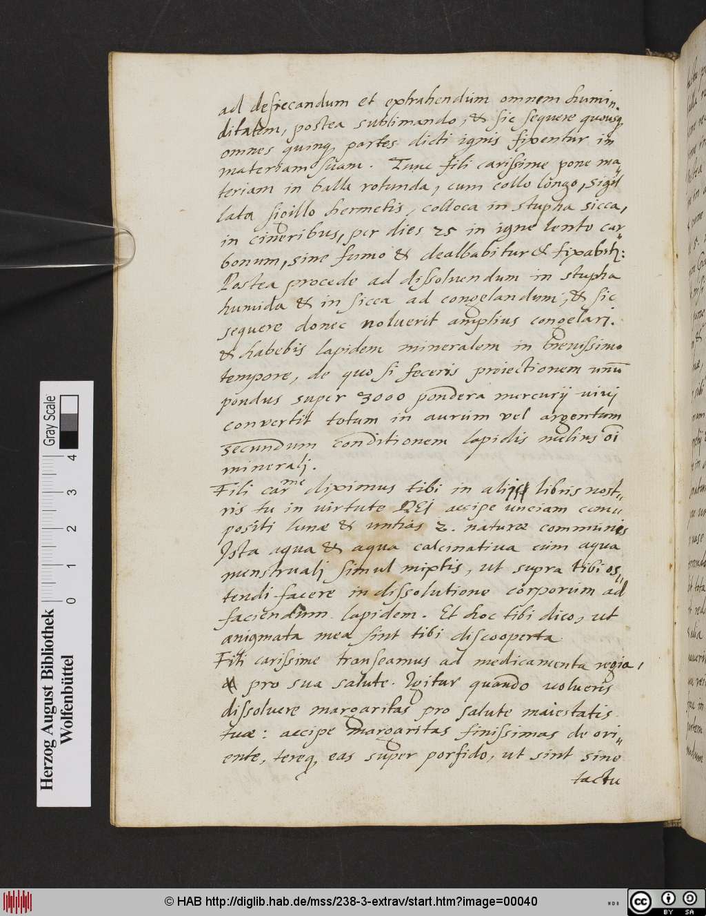 http://diglib.hab.de/mss/238-3-extrav/00040.jpg