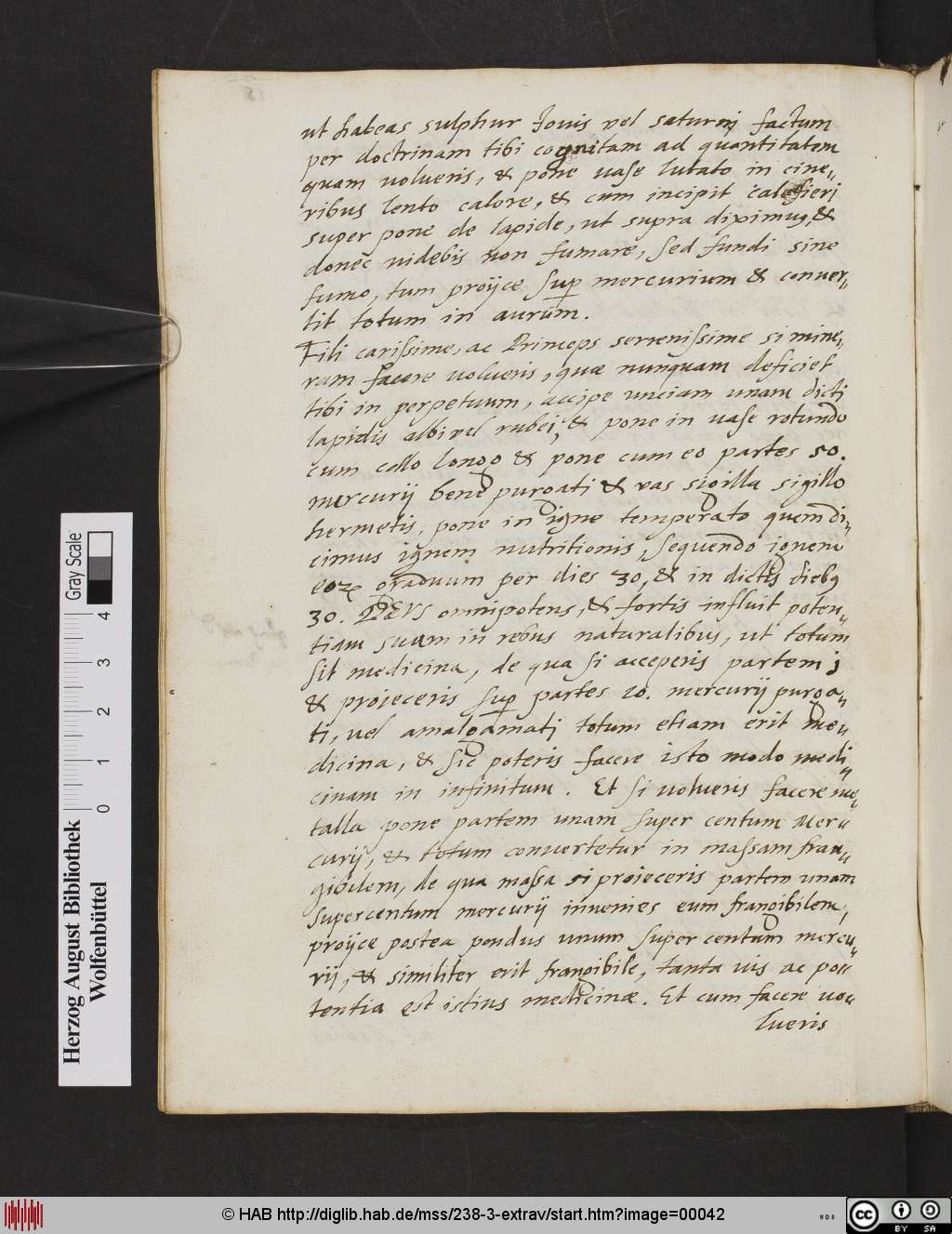 http://diglib.hab.de/mss/238-3-extrav/00042.jpg