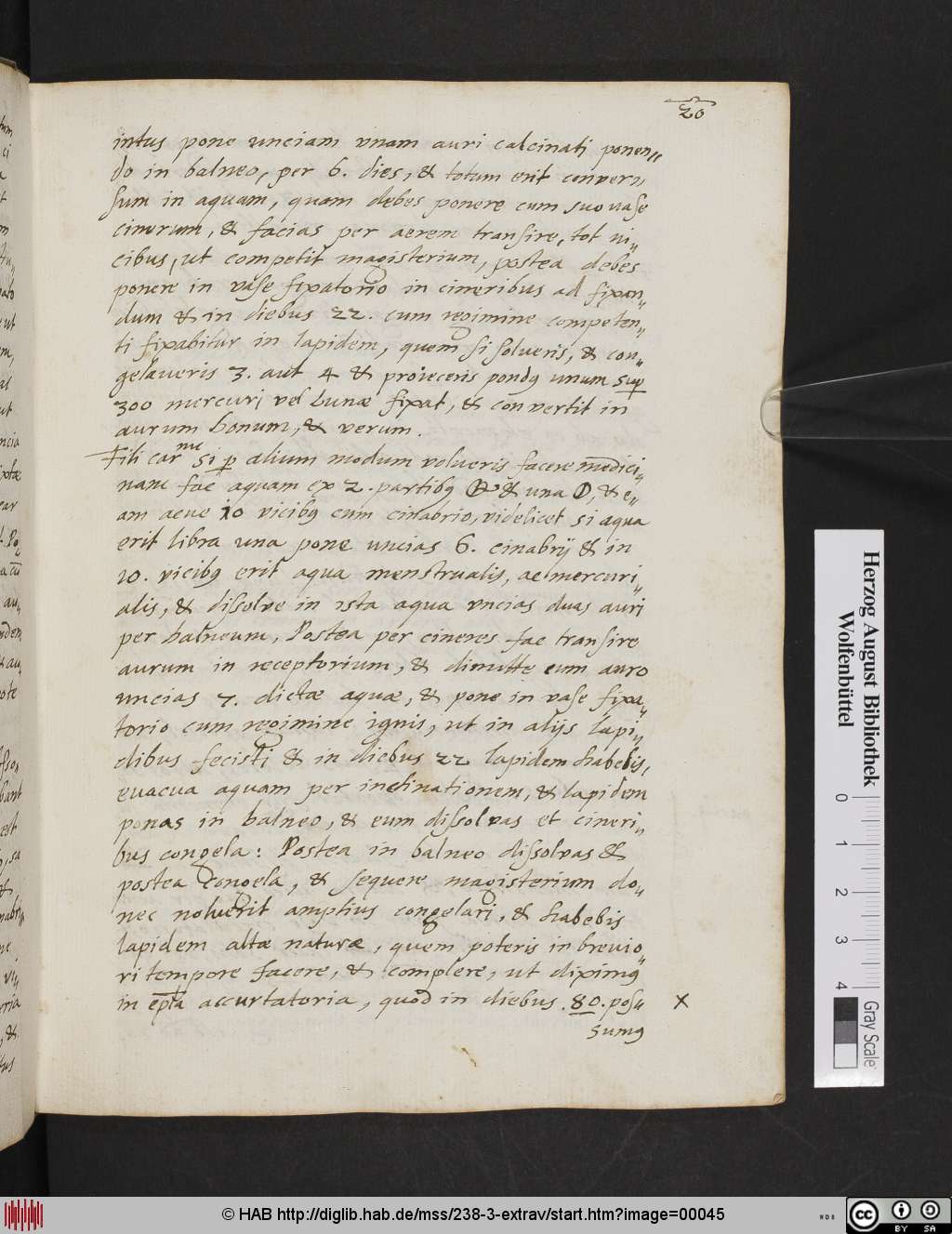 http://diglib.hab.de/mss/238-3-extrav/00045.jpg