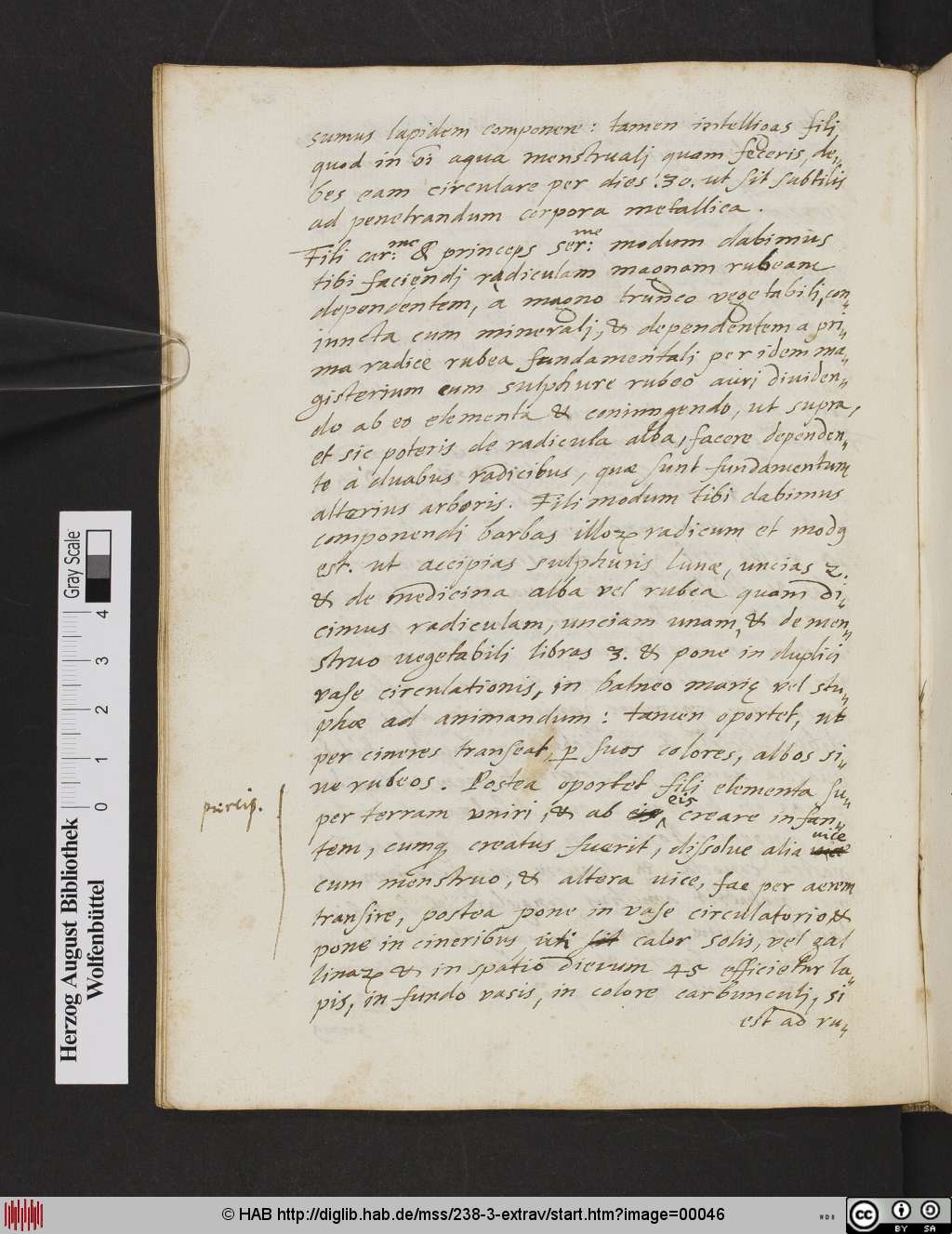 http://diglib.hab.de/mss/238-3-extrav/00046.jpg