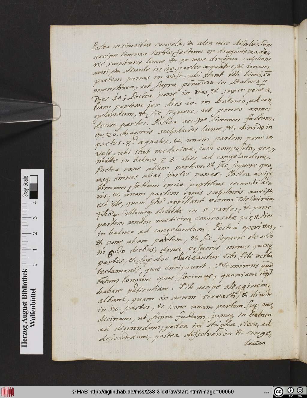http://diglib.hab.de/mss/238-3-extrav/00050.jpg