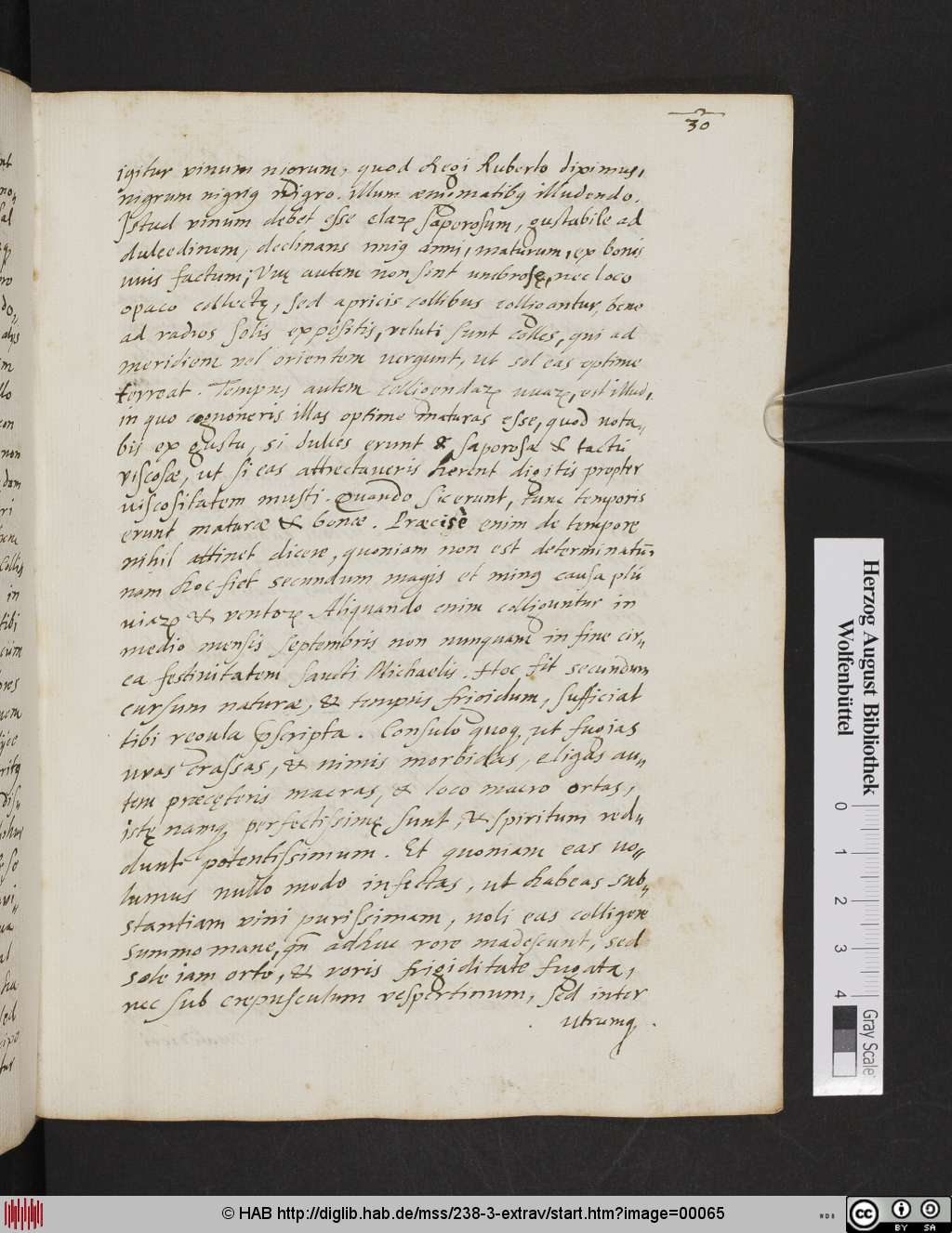 http://diglib.hab.de/mss/238-3-extrav/00065.jpg