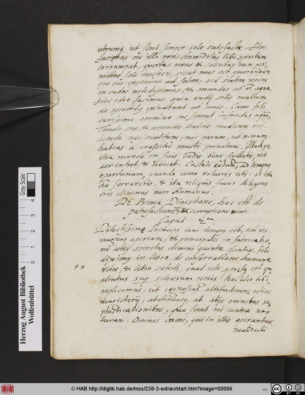 http://diglib.hab.de/mss/238-3-extrav/00066.jpg
