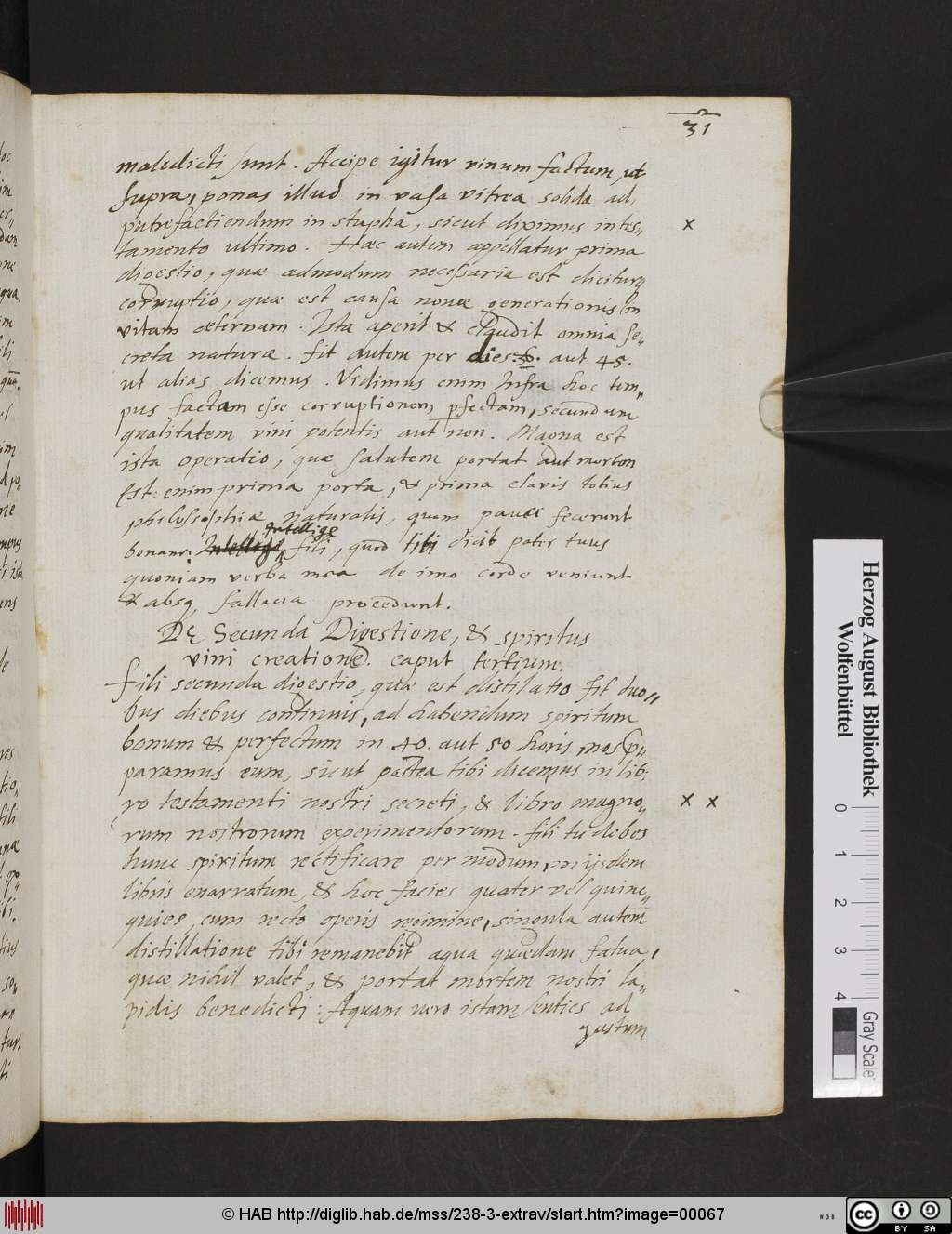 http://diglib.hab.de/mss/238-3-extrav/00067.jpg