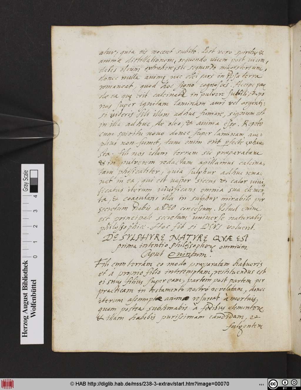 http://diglib.hab.de/mss/238-3-extrav/00070.jpg