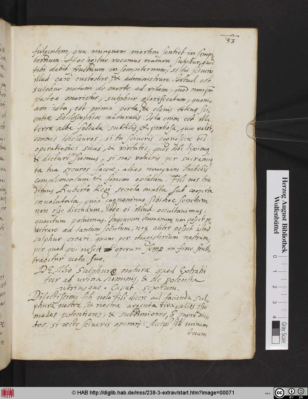 http://diglib.hab.de/mss/238-3-extrav/00071.jpg