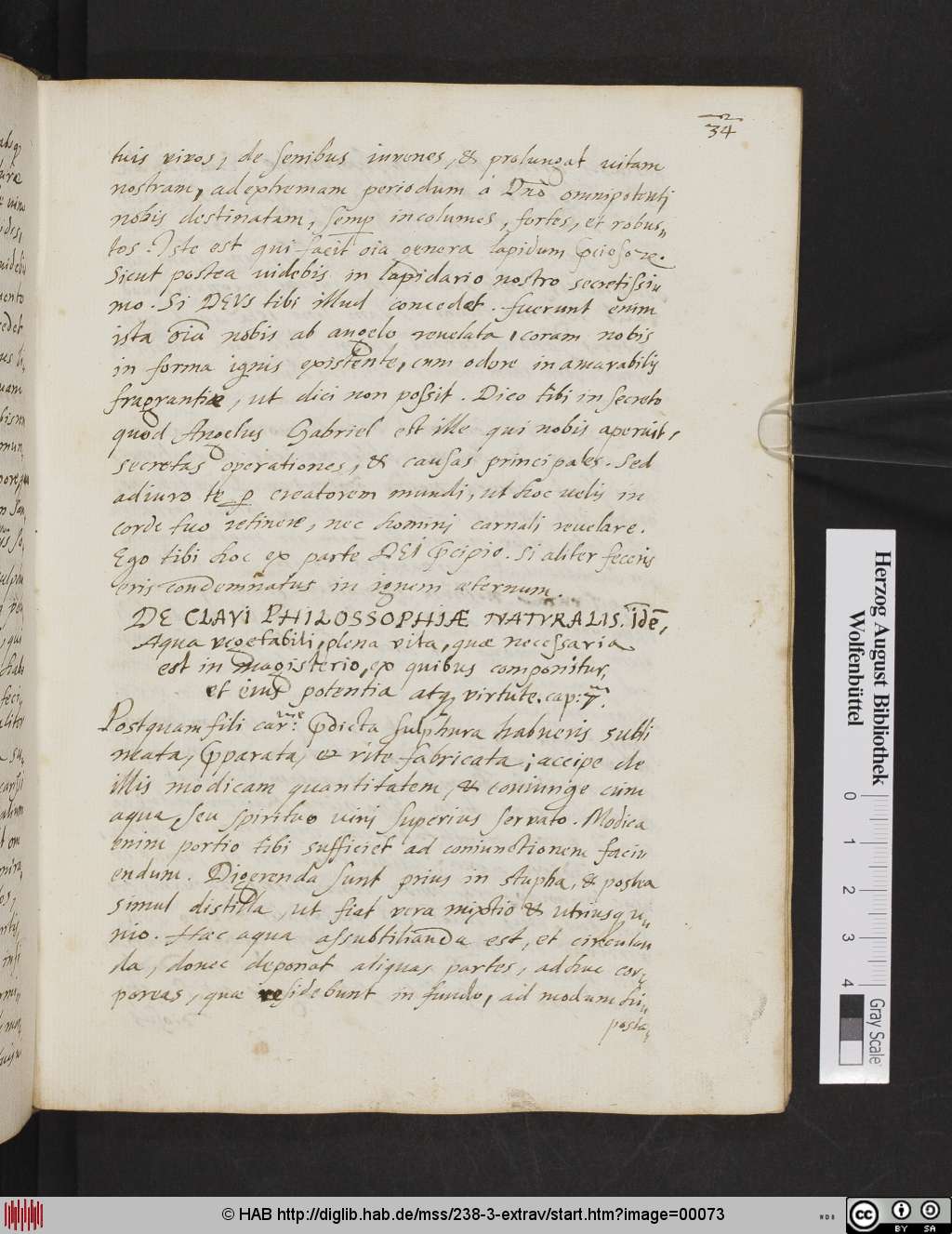 http://diglib.hab.de/mss/238-3-extrav/00073.jpg