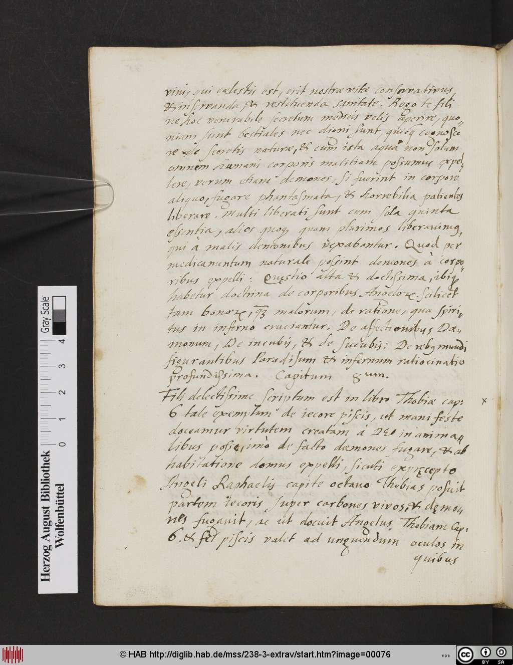 http://diglib.hab.de/mss/238-3-extrav/00076.jpg