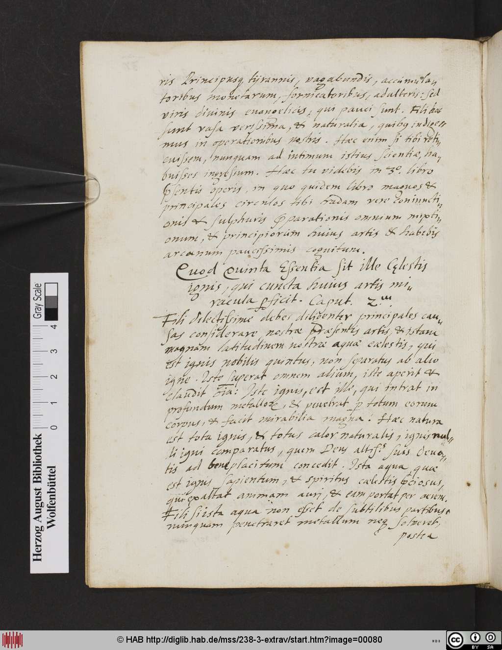 http://diglib.hab.de/mss/238-3-extrav/00080.jpg