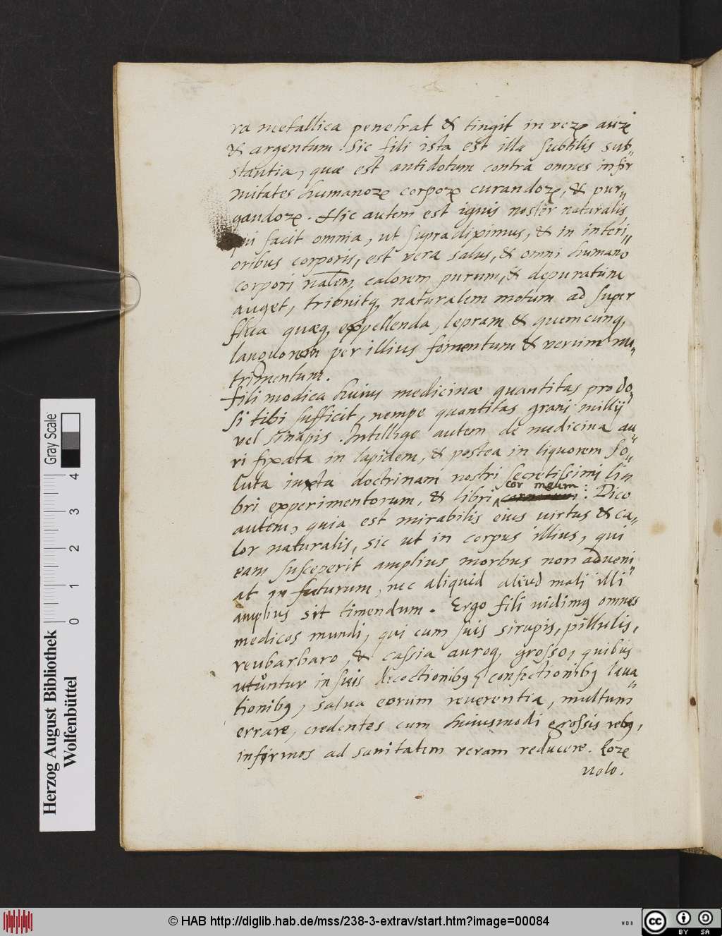 http://diglib.hab.de/mss/238-3-extrav/00084.jpg