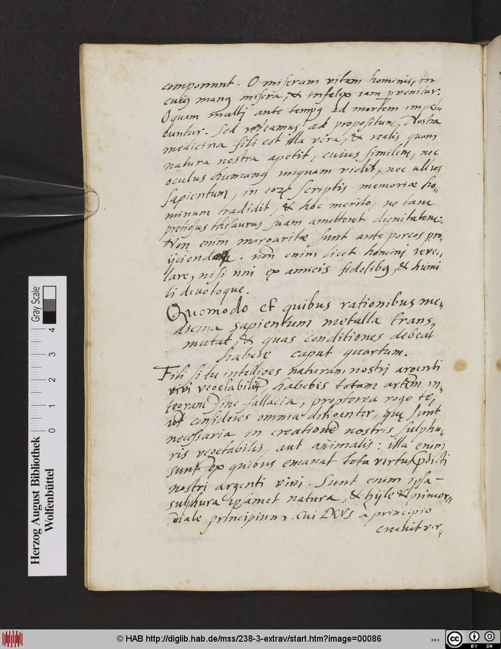 http://diglib.hab.de/mss/238-3-extrav/00086.jpg