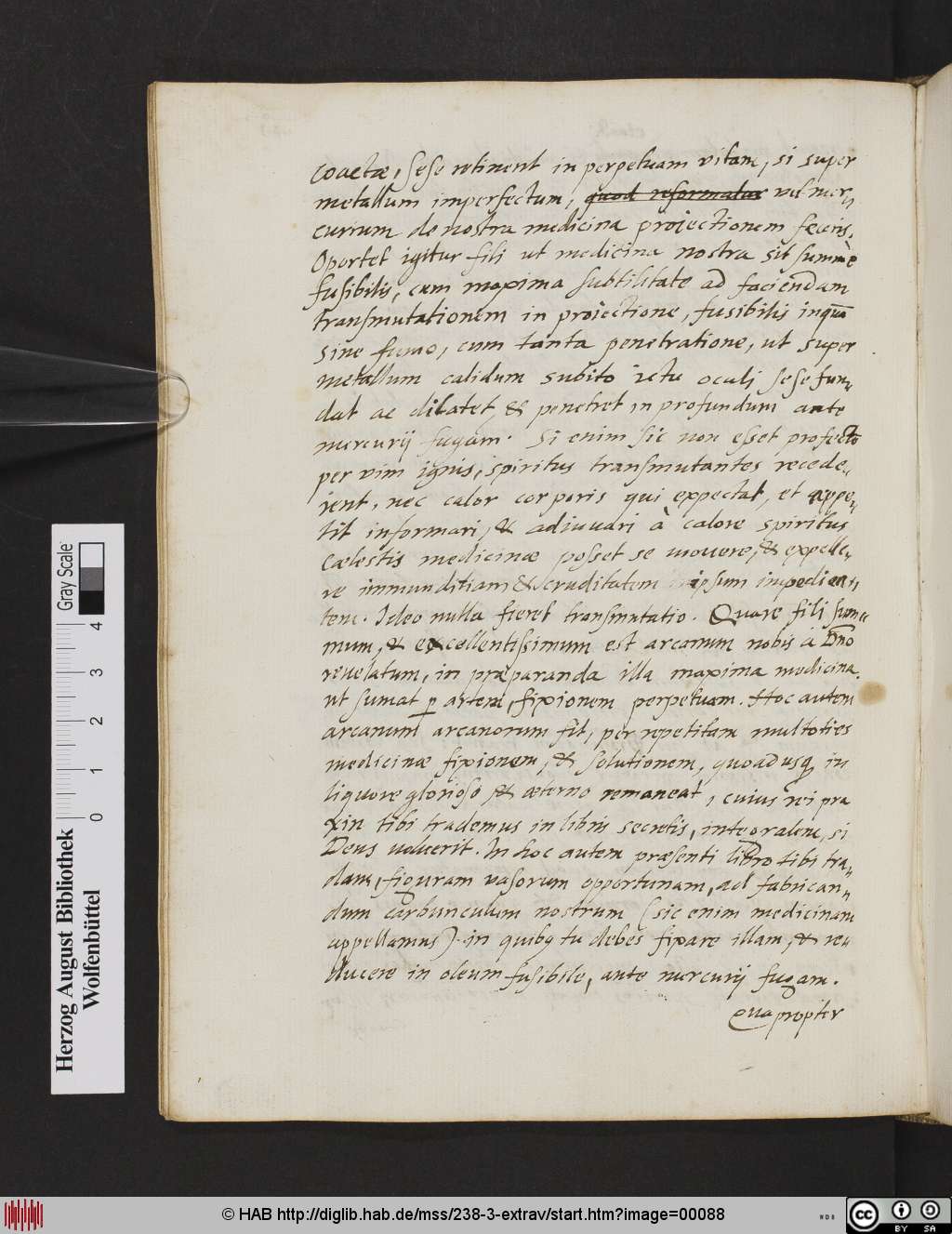 http://diglib.hab.de/mss/238-3-extrav/00088.jpg