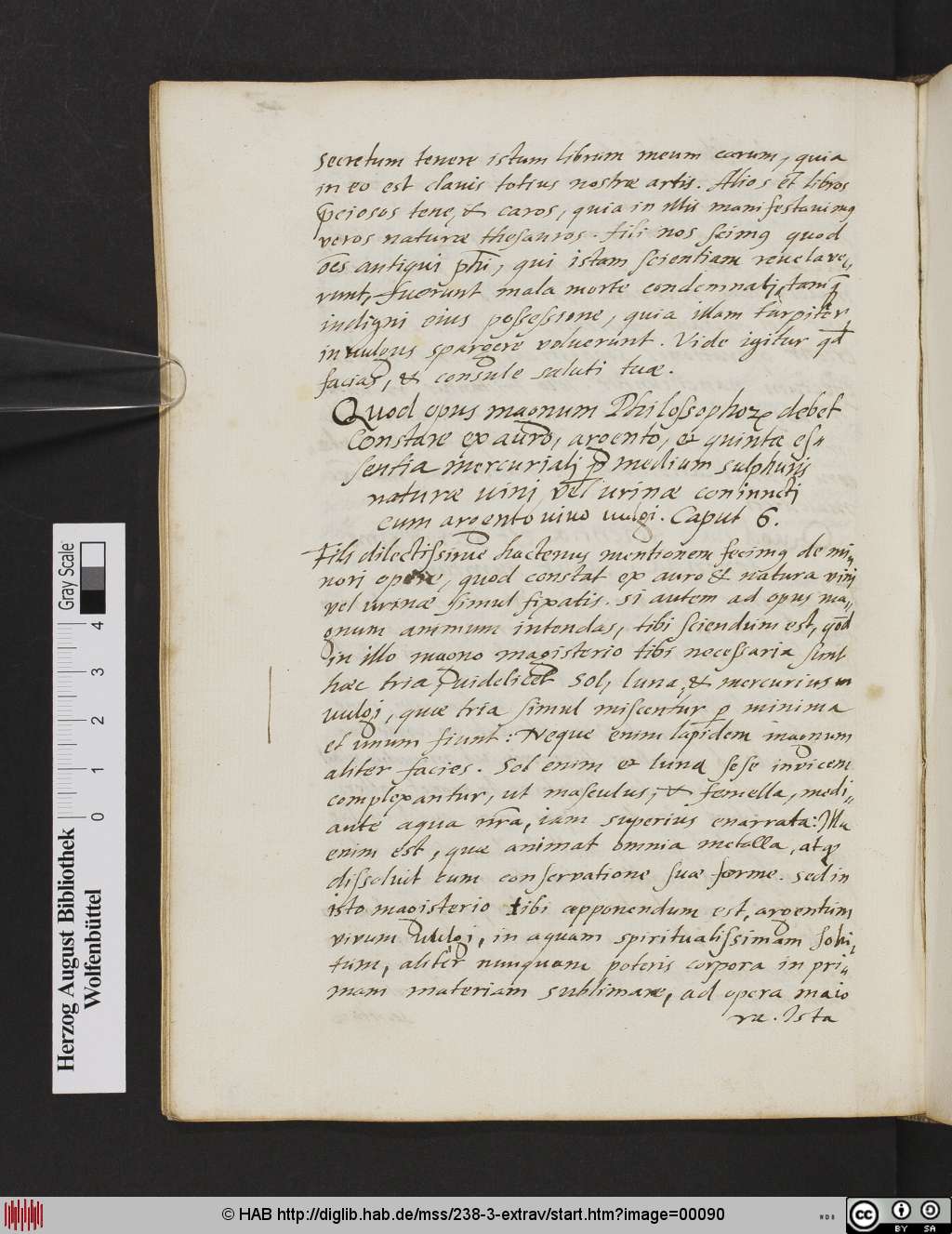 http://diglib.hab.de/mss/238-3-extrav/00090.jpg