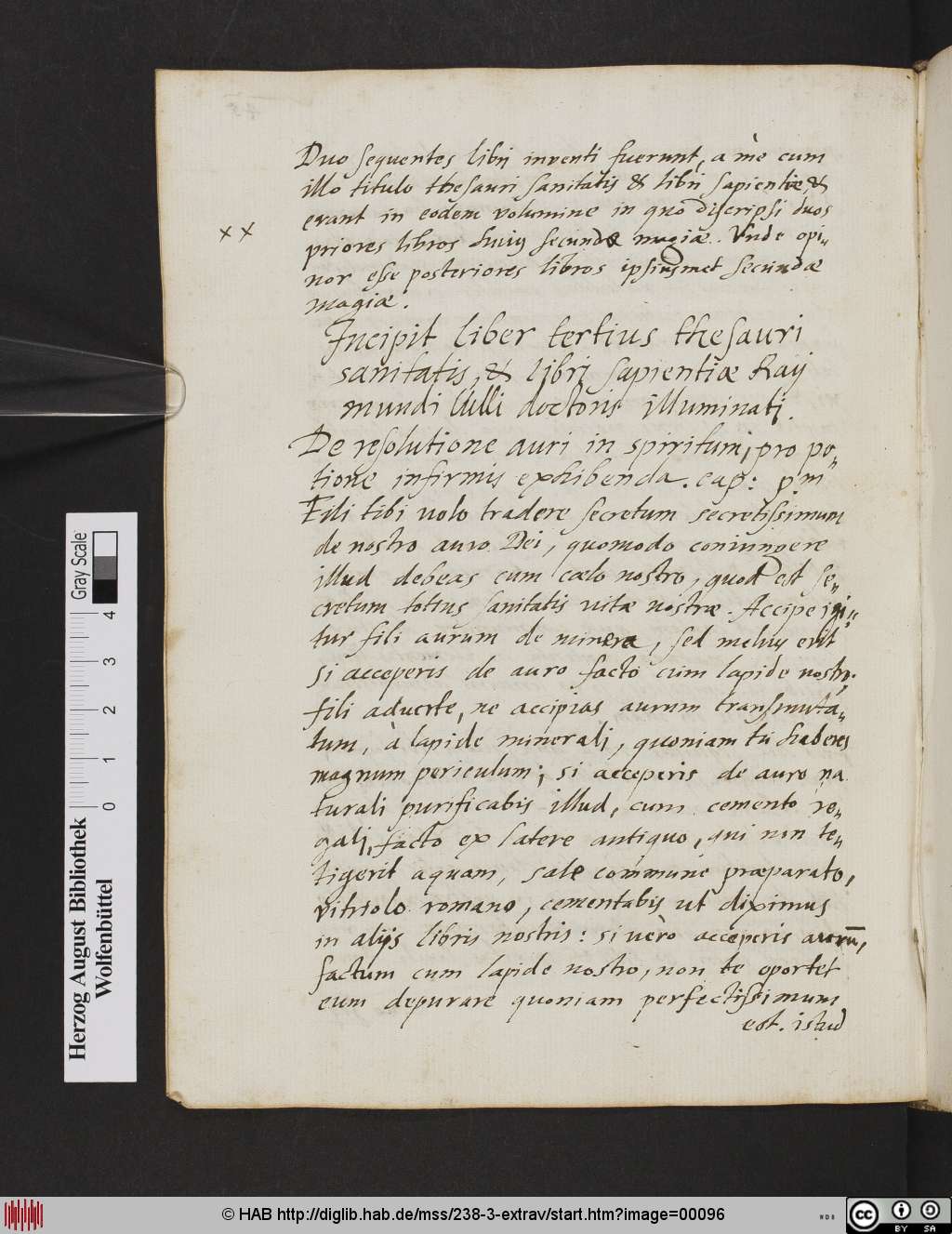 http://diglib.hab.de/mss/238-3-extrav/00096.jpg