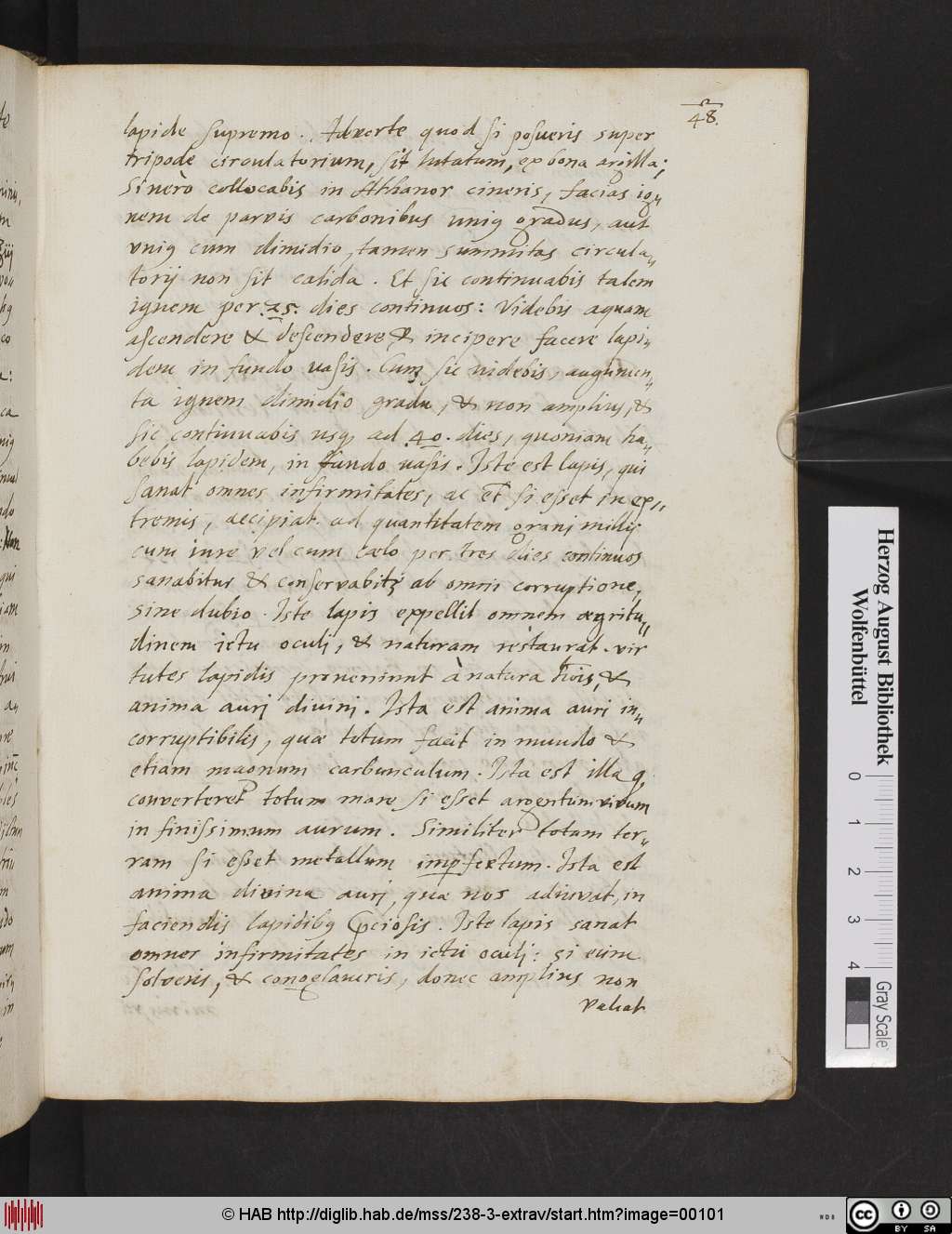 http://diglib.hab.de/mss/238-3-extrav/00101.jpg