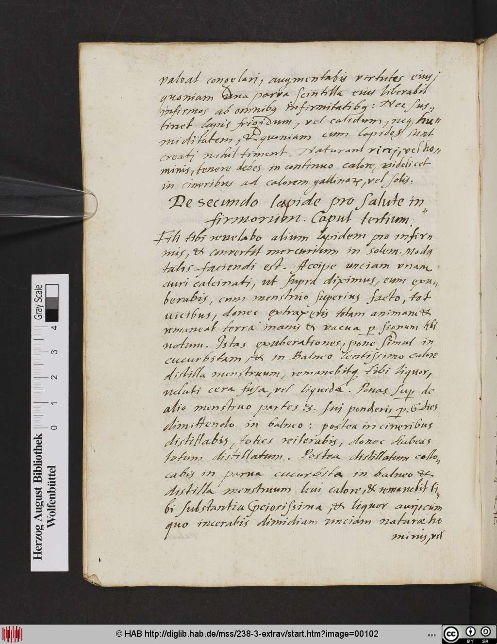 http://diglib.hab.de/mss/238-3-extrav/00102.jpg