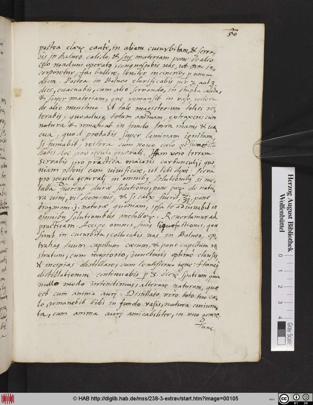 http://diglib.hab.de/mss/238-3-extrav/00105.jpg