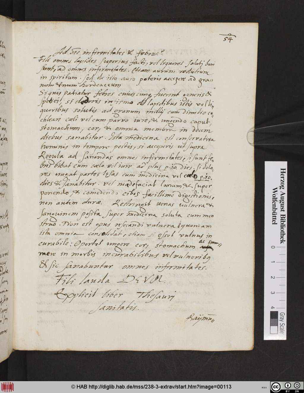 http://diglib.hab.de/mss/238-3-extrav/00113.jpg