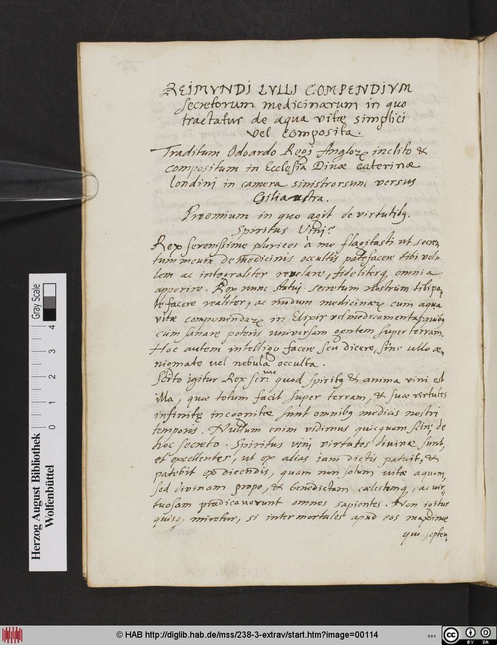 http://diglib.hab.de/mss/238-3-extrav/00114.jpg