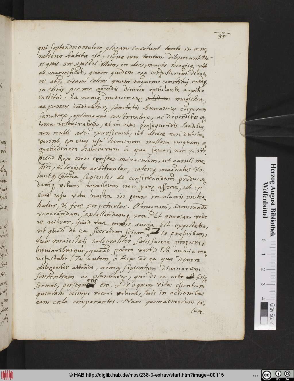 http://diglib.hab.de/mss/238-3-extrav/00115.jpg