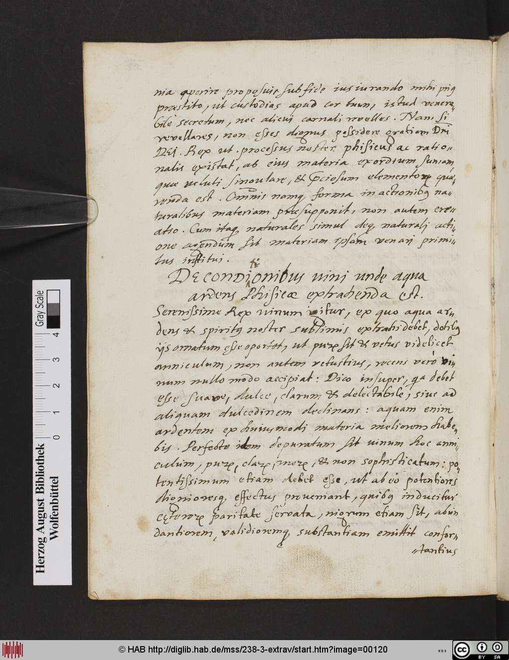http://diglib.hab.de/mss/238-3-extrav/00120.jpg