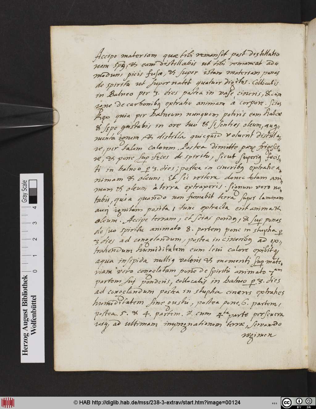 http://diglib.hab.de/mss/238-3-extrav/00124.jpg