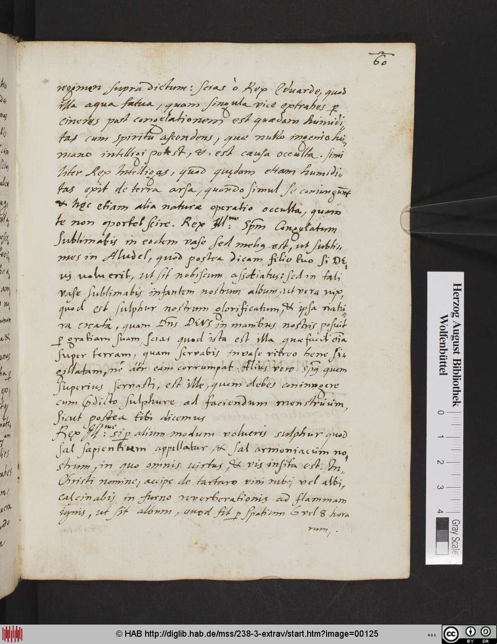 http://diglib.hab.de/mss/238-3-extrav/00125.jpg