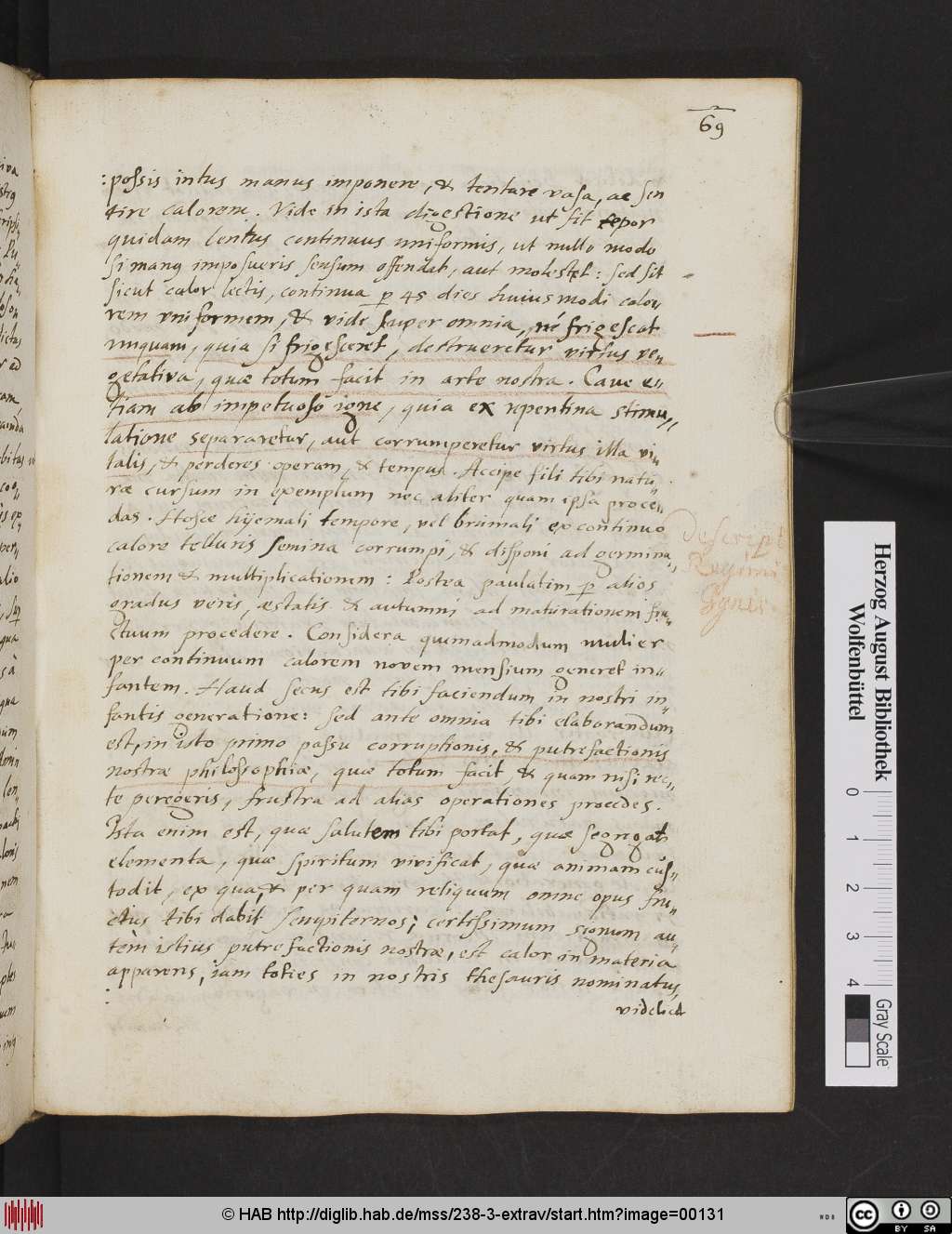 http://diglib.hab.de/mss/238-3-extrav/00131.jpg