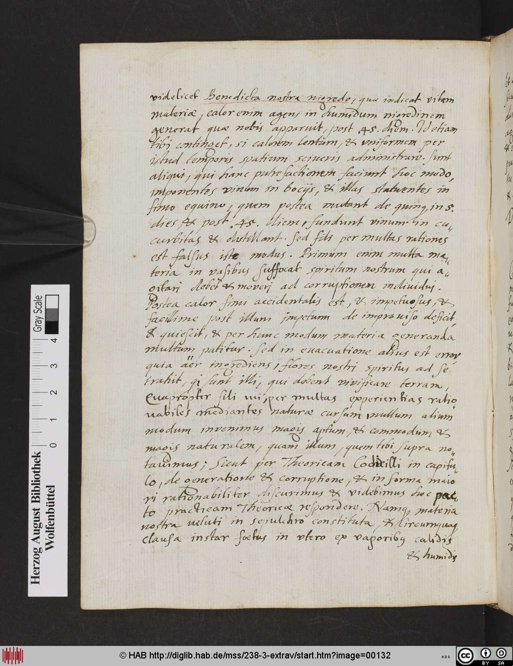 http://diglib.hab.de/mss/238-3-extrav/00132.jpg