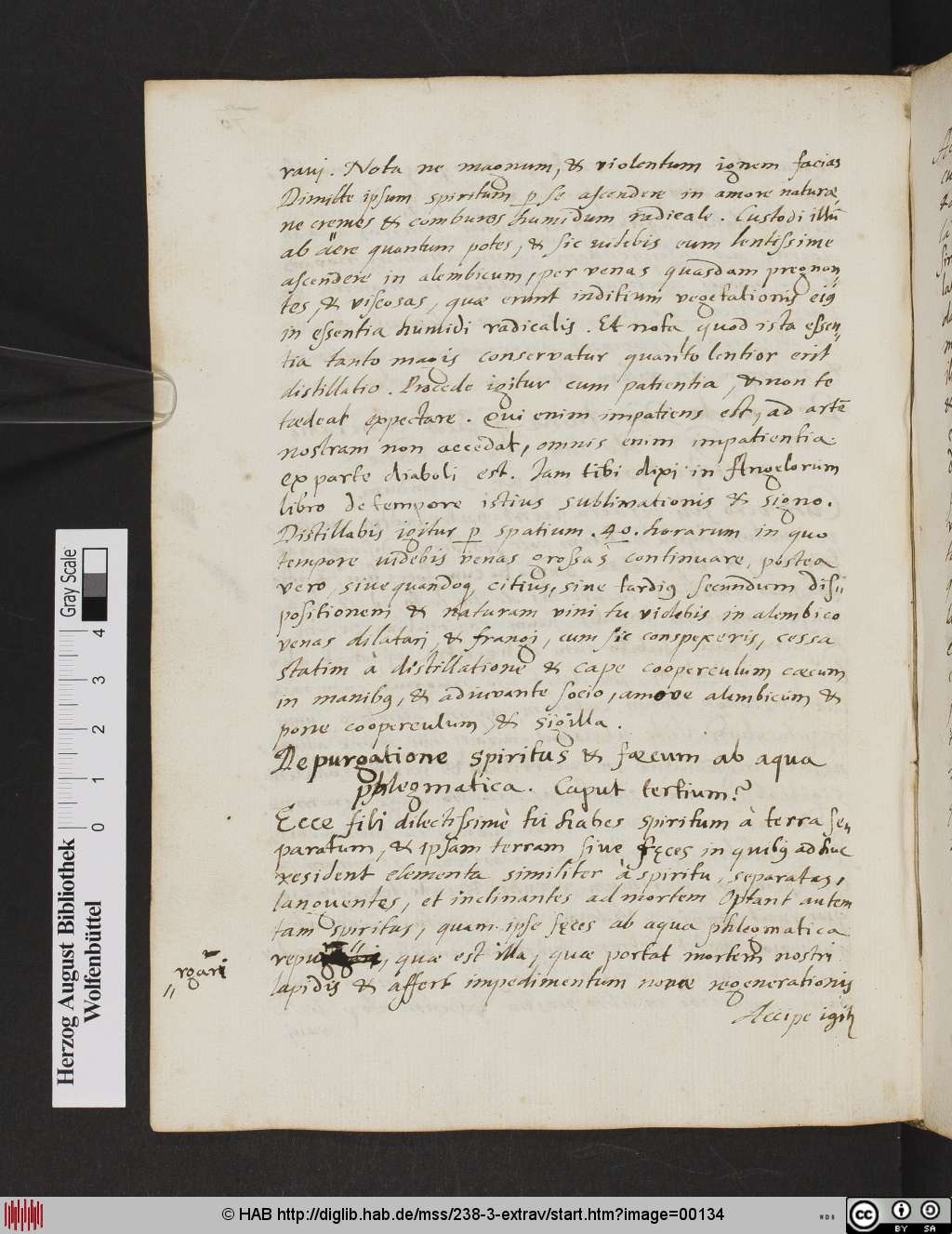 http://diglib.hab.de/mss/238-3-extrav/00134.jpg
