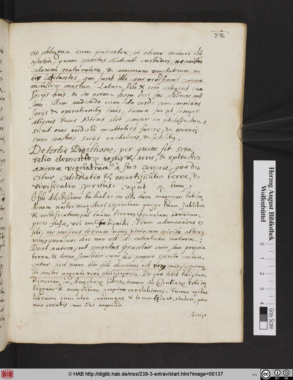 http://diglib.hab.de/mss/238-3-extrav/00137.jpg