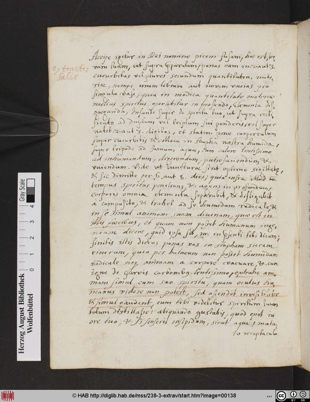 http://diglib.hab.de/mss/238-3-extrav/00138.jpg