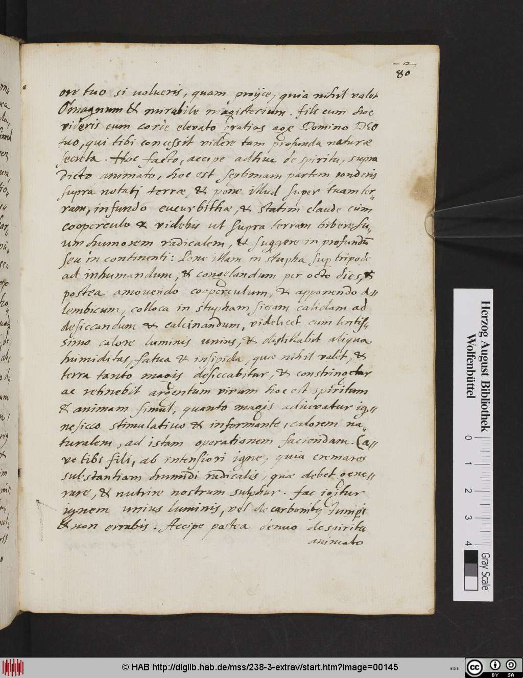 http://diglib.hab.de/mss/238-3-extrav/00145.jpg