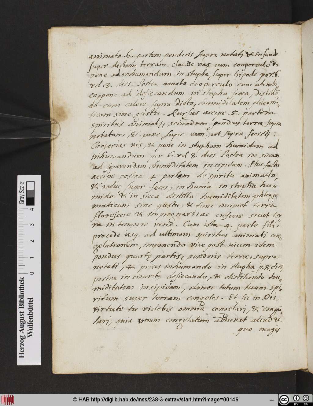 http://diglib.hab.de/mss/238-3-extrav/00146.jpg