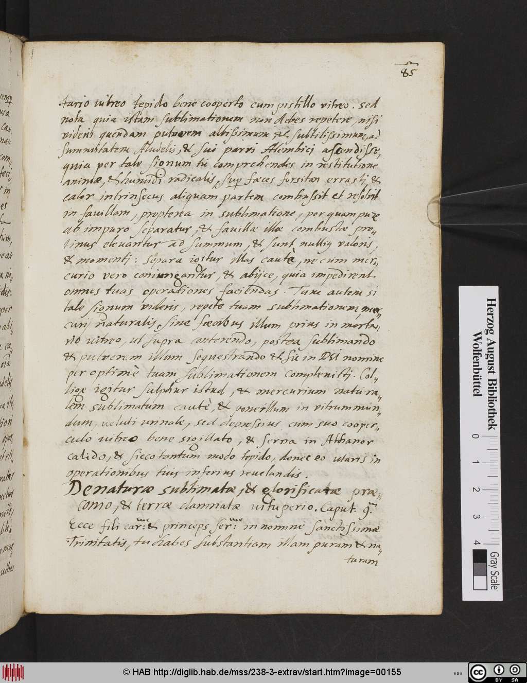http://diglib.hab.de/mss/238-3-extrav/00155.jpg