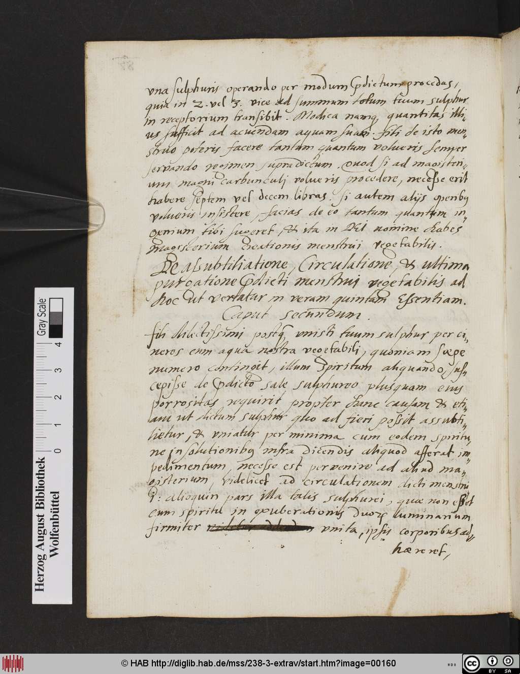 http://diglib.hab.de/mss/238-3-extrav/00160.jpg