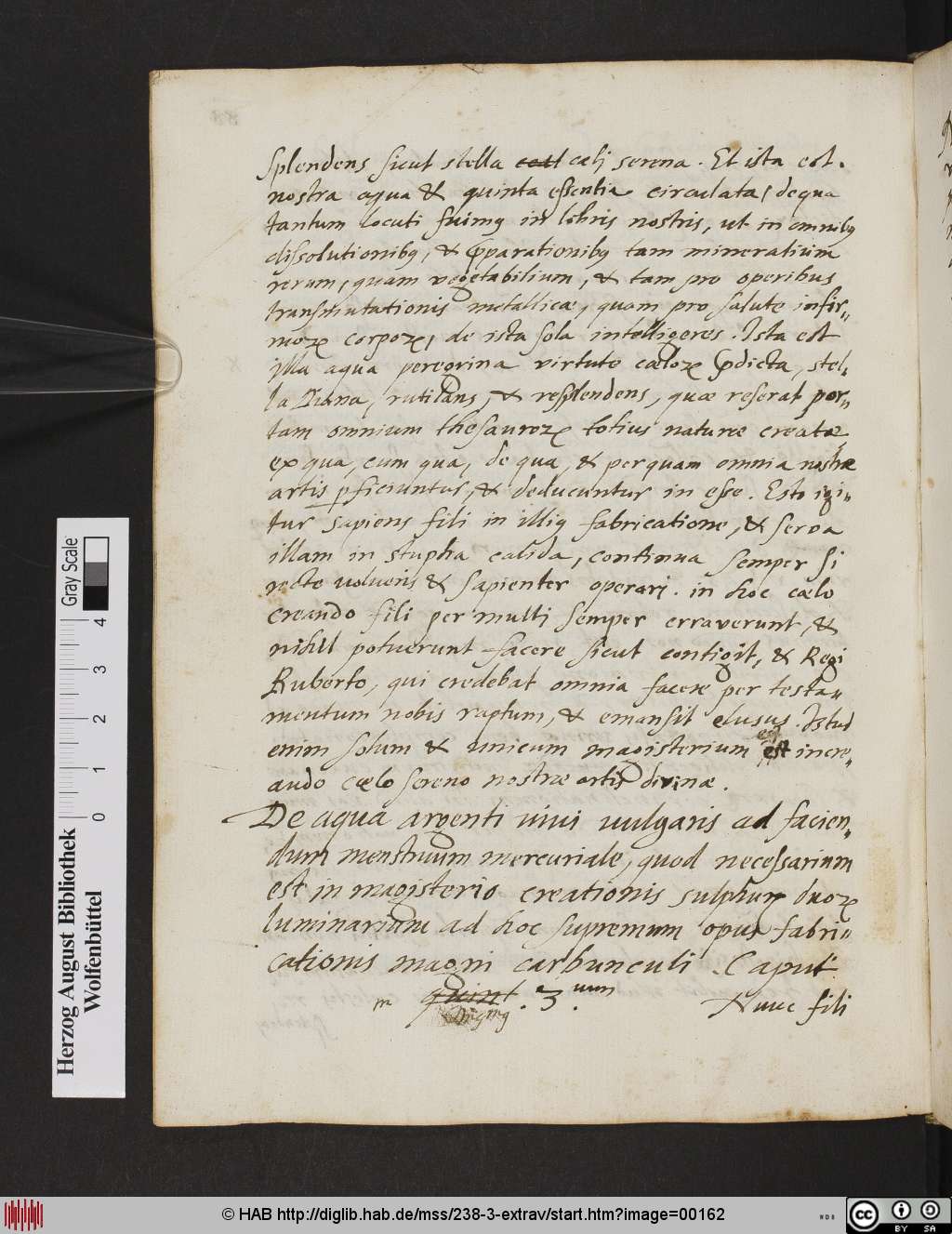 http://diglib.hab.de/mss/238-3-extrav/00162.jpg