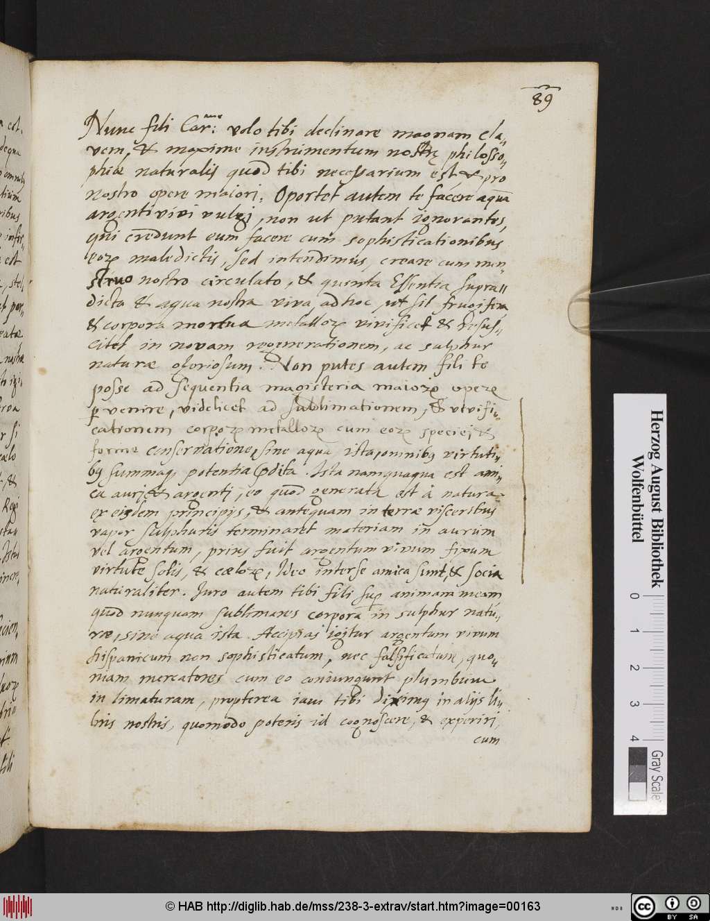 http://diglib.hab.de/mss/238-3-extrav/00163.jpg