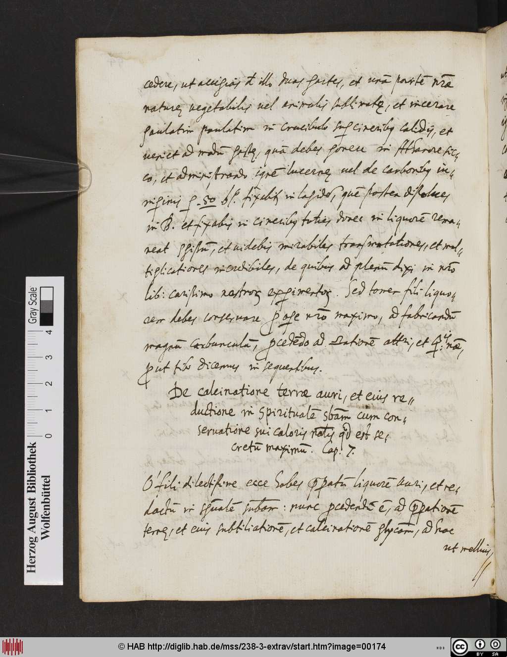 http://diglib.hab.de/mss/238-3-extrav/00174.jpg
